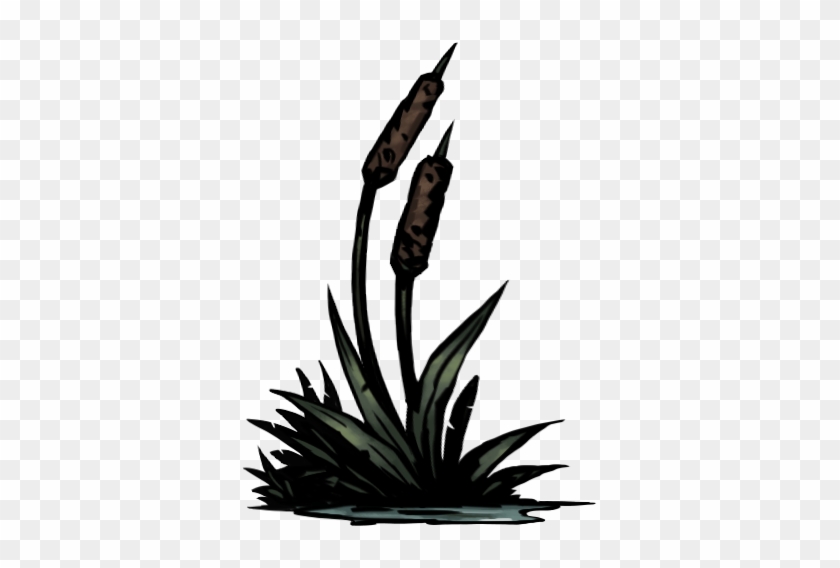 Cattail - Portable Network Graphics #1083312