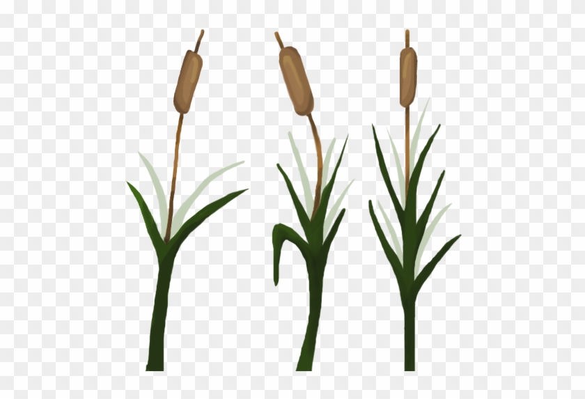 Cat Tails - Cat #1083326