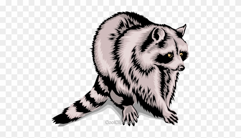 Raccoon Clip Art At Clker - Clip Art Racoon #1083936
