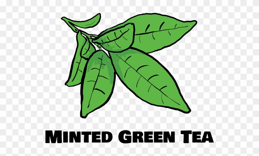 Minted Green Tea Flavour - Green Tea #1084230