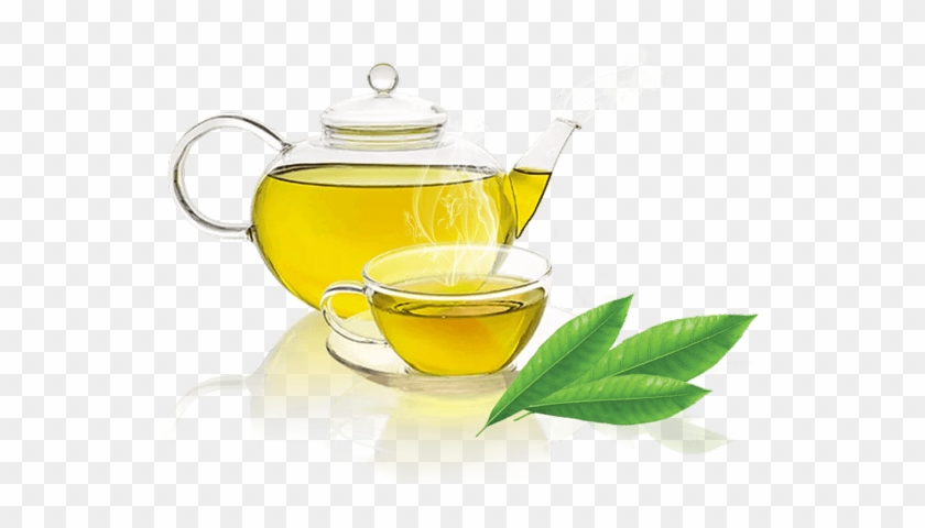 Oudh Tea - Benefits Of Green Tea Banners #1084235