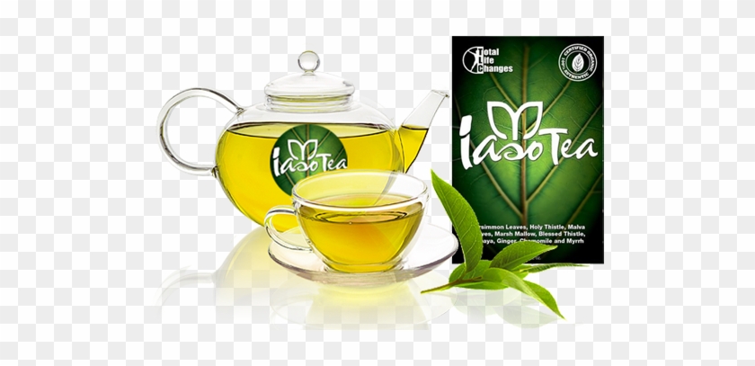 Iaso Detox Tea Sample - Iaso Tea - One Month Supply #1084263