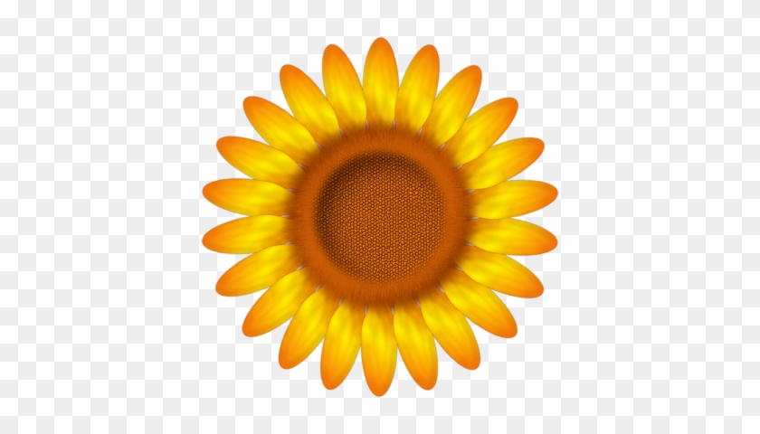 Elements 3 - Sunflower Png #1084642