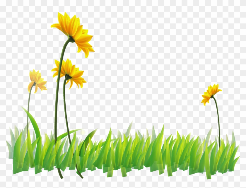 Narcissus Flora Yellow Wildflower Wallpaper - Wallpaper #1084649