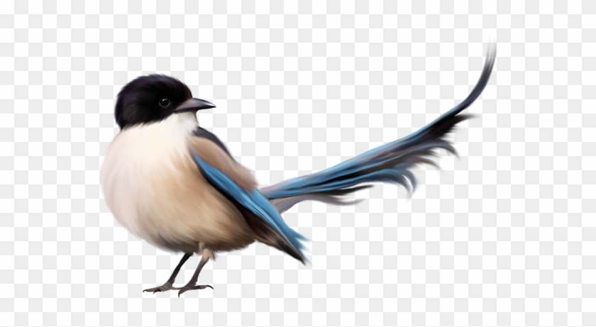 Pájaro Con La Cola Azul Png Imágenes Prediseñadas Imagen - Friend Beautiful Quotes Fb #1084682