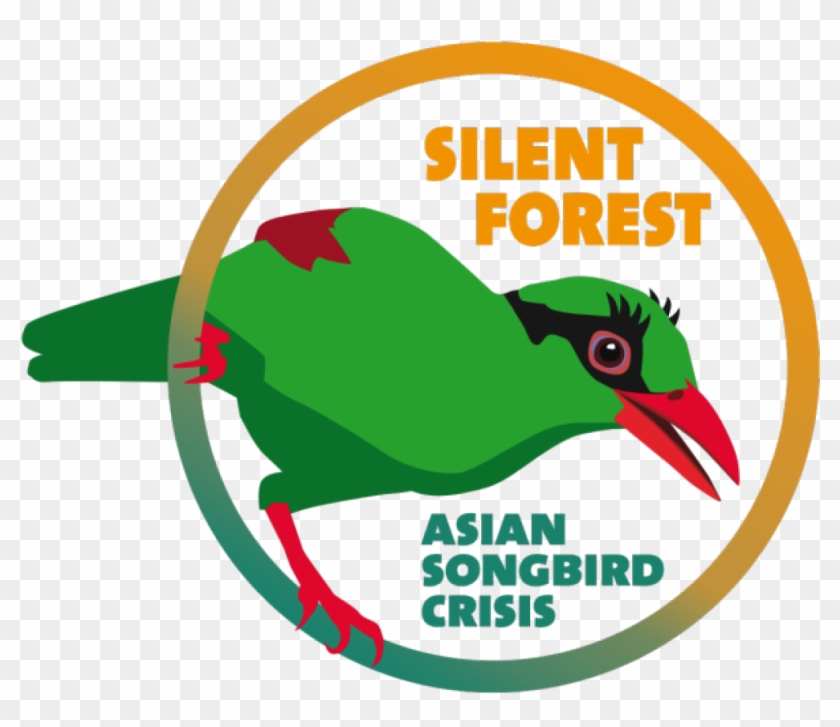 Silent Forest 600 - Silent Forest Eaza #1084700