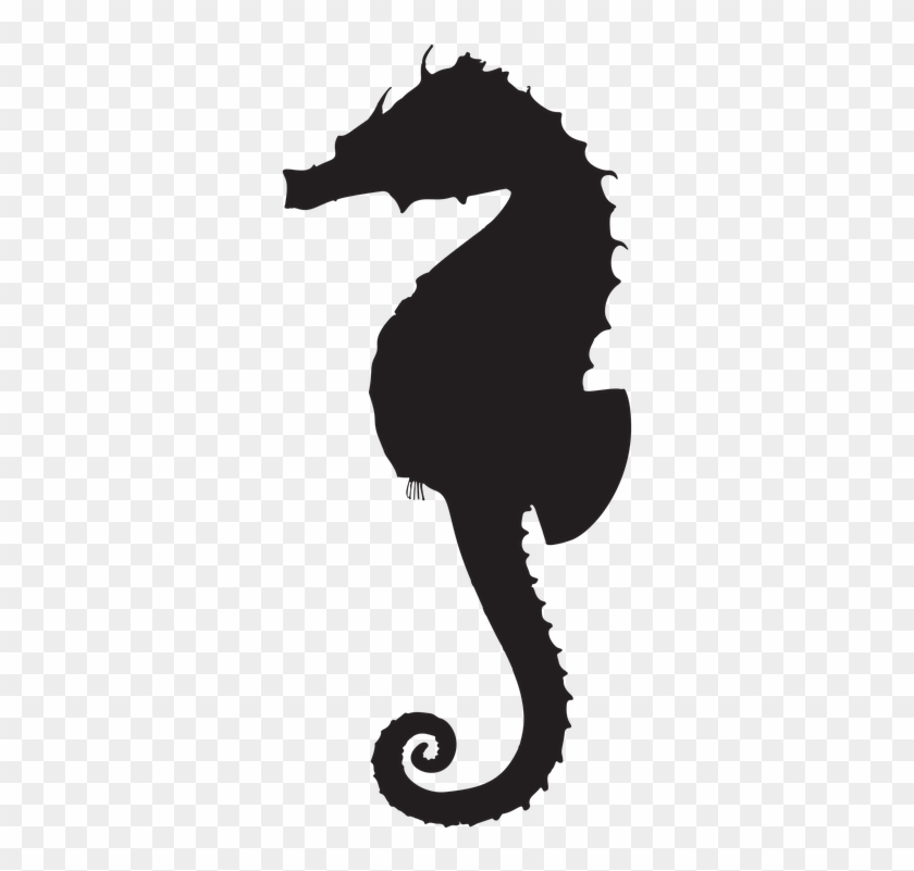 Animal-2029418 960 720 - Seahorse Silhouette #1084721