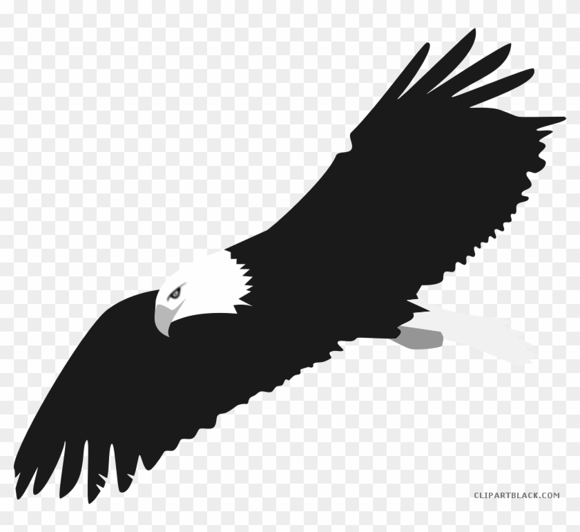 Eagle Animal Free Black White Clipart Images Clipartblack - Clipart Bald Eagle Png #1084970