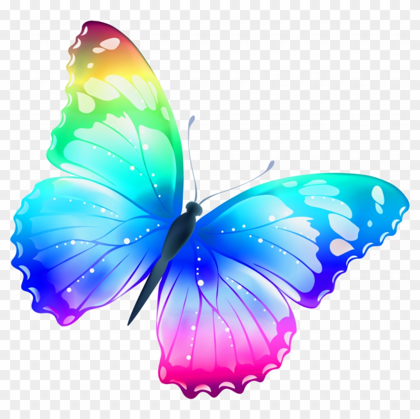 Monumental Images Of Butterflys Free Pictures Butterflies - Rainbow Butterfly Greeting Cards #1085061