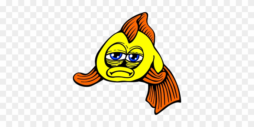 Fish Sad Goldfish Yellow Animal Fish Fish - Sad Fish Png #1085178