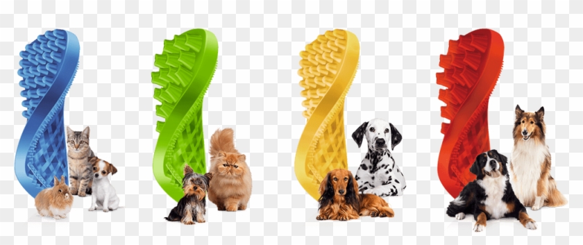 Four Styles To Choose From - Pet & Me Multi Function Rubber Dog Grooming Short #1085613