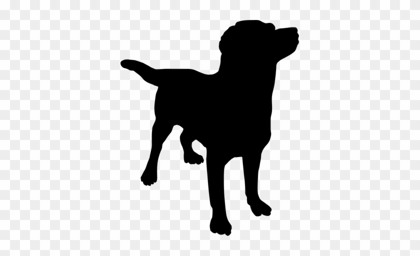 Dogsbodywalks - Dog Silhouette Transparent Background #1086170