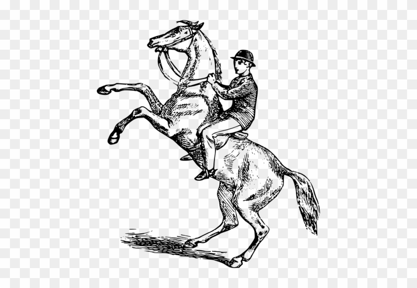 Man Riding A Rearing Horse Vector Image Public Domain - Man Riding Horse Drawing #1086347