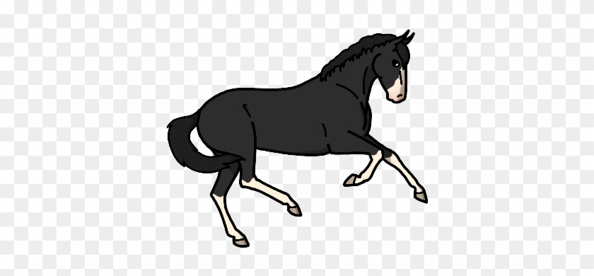 Reference By Eefketje - Stallion #1086382