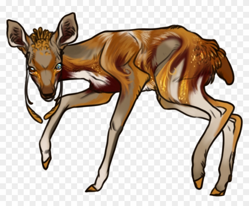 An Average Sized Fawn With Reasonably Dainty, Golden - Calf #1086546