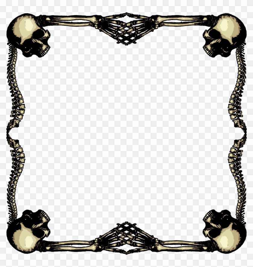 Skeletal Frame Large By Sevenbridges Skeletal Frame - Skull Frame Transparent #1086695