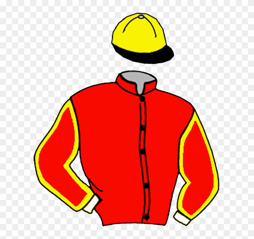 Dol Du Trieux - Casaque Jean Michel Bazire #1086824