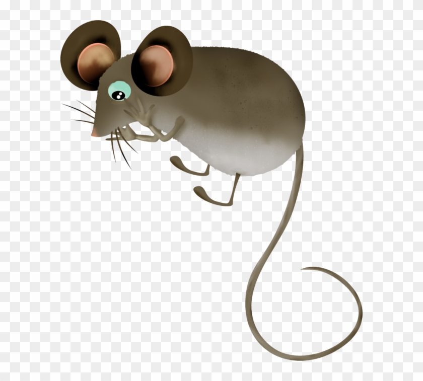 Mice - Rat #1087147