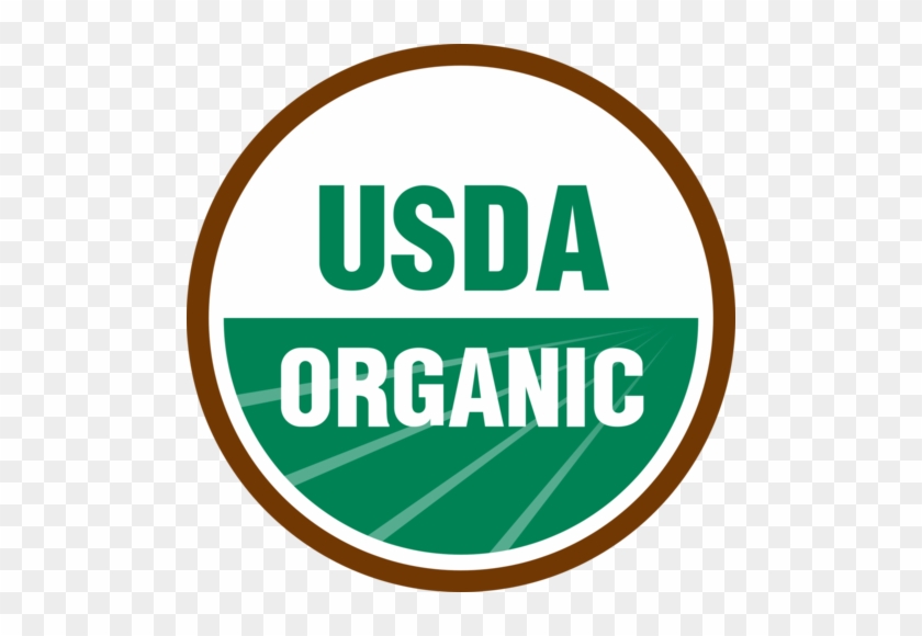 Cocoa Bean Clip Art #1087377