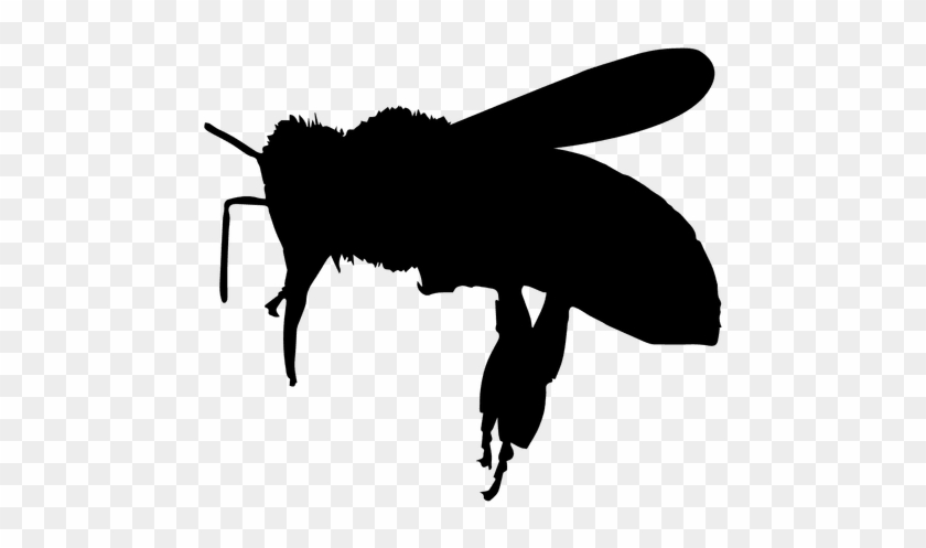 Bee Flight Silhouette Transparent Png - Illustration #1088056