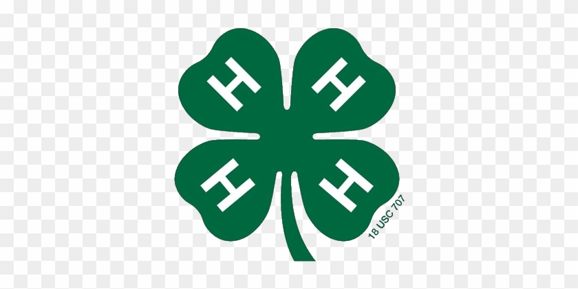 4h Logo2 - 4 H #1088479