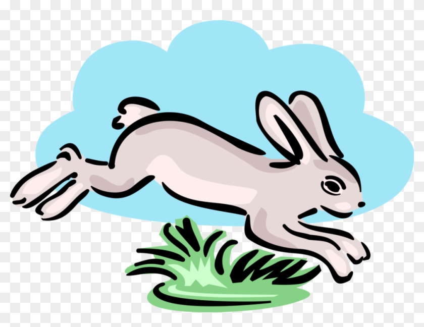 Vector Illustration Of Small Mammal Rabbit Hopping - Vector Illustration Of Small Mammal Rabbit Hopping #1088667