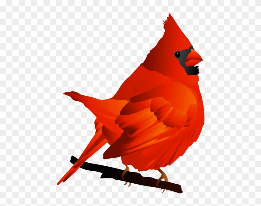 Free Cardinal Clipart Clipart - Northern Cardinal Bird Northern Cardinal Bird Northern #1088752