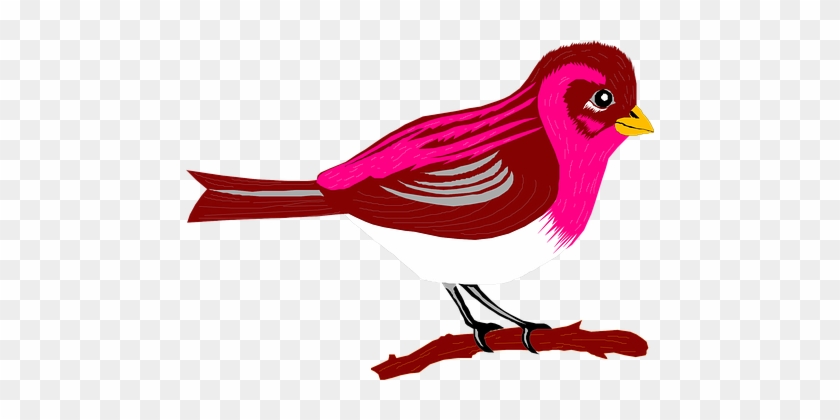 Brown, Pink, Bird, Branch, Finch - Transparent Pic Cartoon Bird #1088753