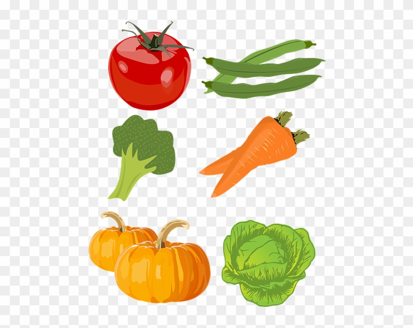 Food Cliparts Vegetables 6, Buy Clip Art - Food Group #1089069