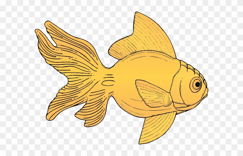 Fins Clipart Goldfish - Gold Fish Clip Art #1089162