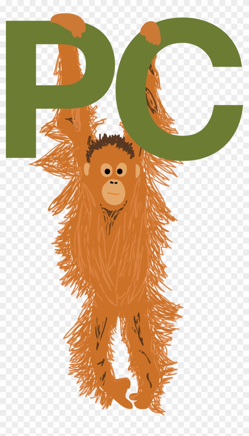All Portraits Painting Drawing Invitations Marketing - Orangutan #1089738