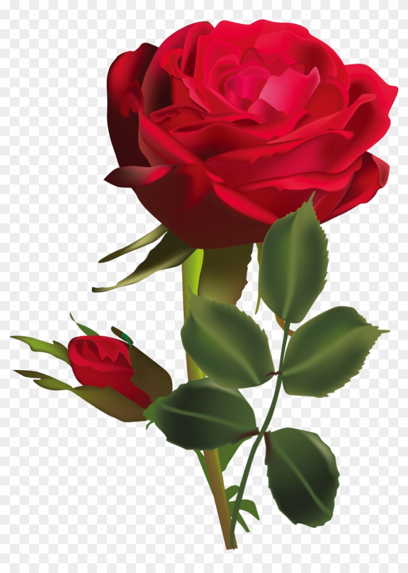 Flower Clip Art - Dark Red Rose Flower #1090117