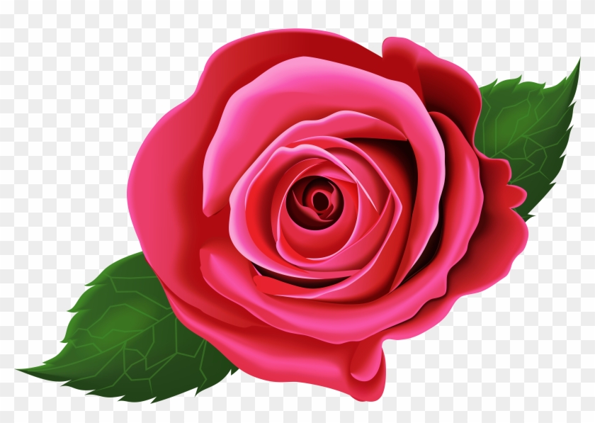 Garden Roses Cabbage Rose Floribunda China Rose Clip - Clip Art #1090210