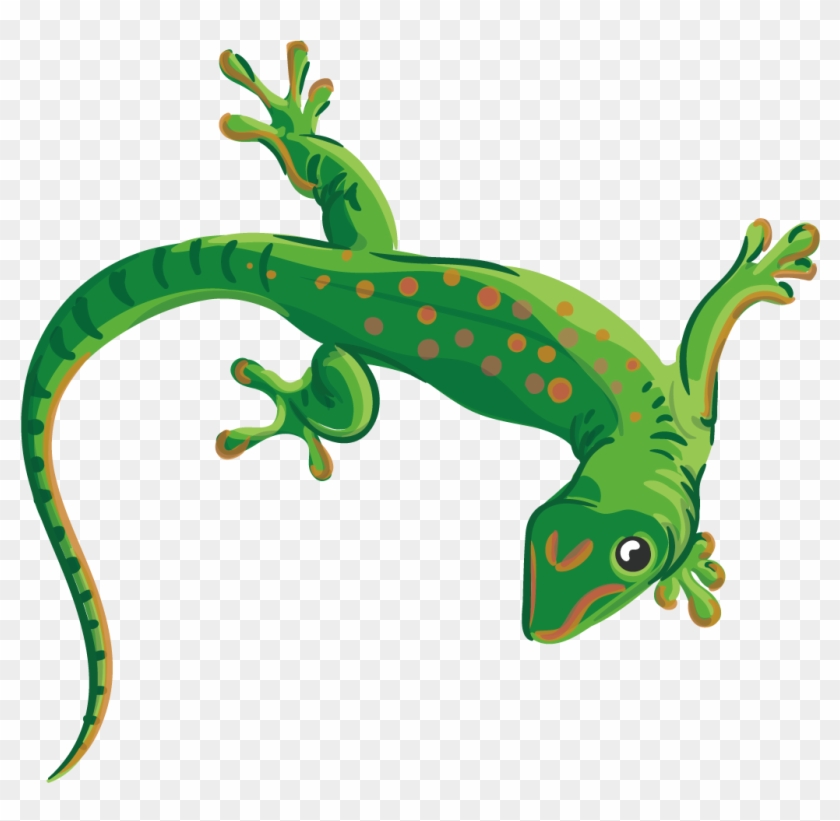 Reptile Lizard Chameleons Euclidean Vector Illustration - Lizard Transparent Vector #1090268