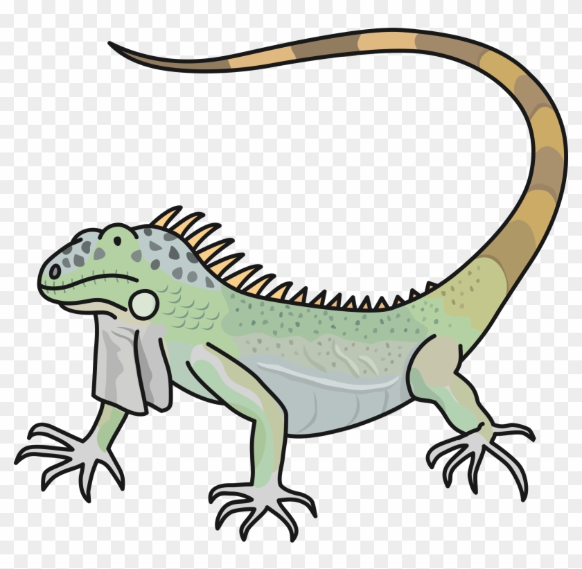 Lizard - Green Iguana #1090276