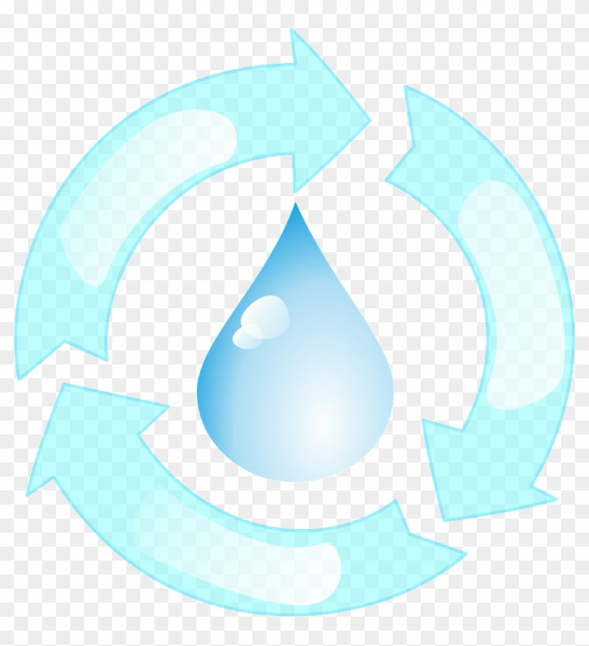 15 From Water - Ecology #1090407