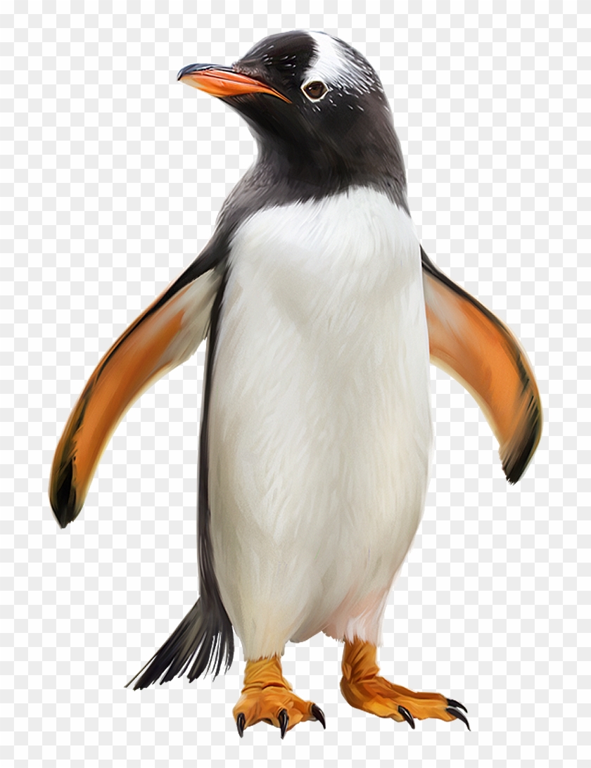 Penguin - Gentoo Penguin #1090522