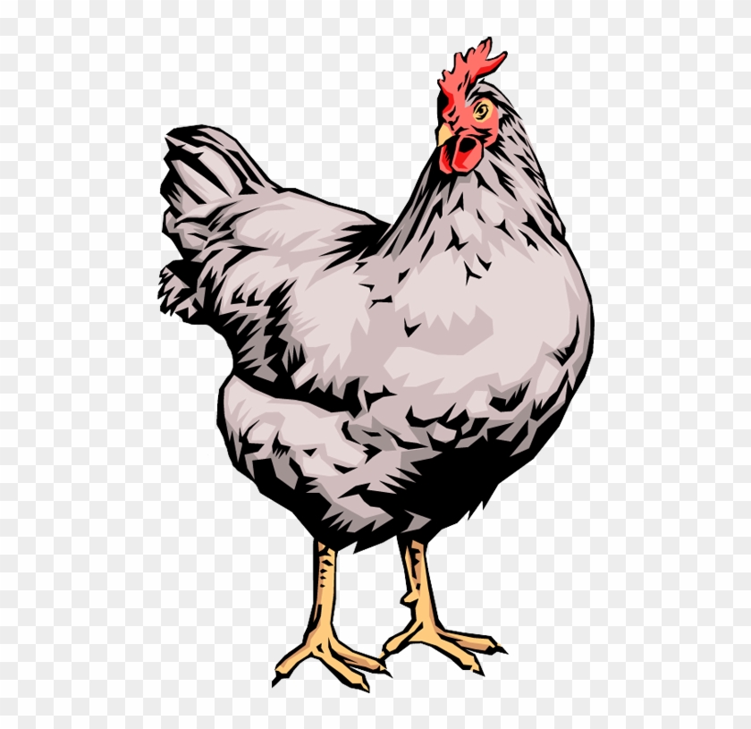 Quality Clip Art Of Animals That Live On A Farm - Chickens Clip Art #1090936