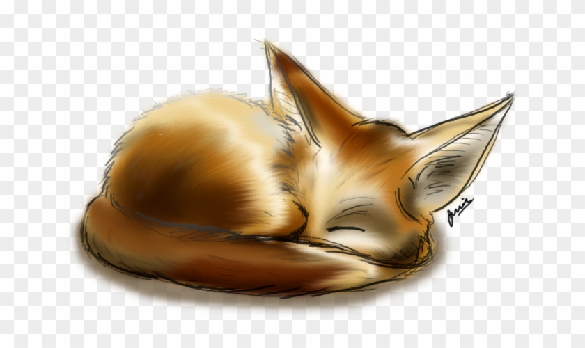 Fennec Fox By Jessay Bunnybee-d3ivf6z - Fennec Fox Drawing #1091173