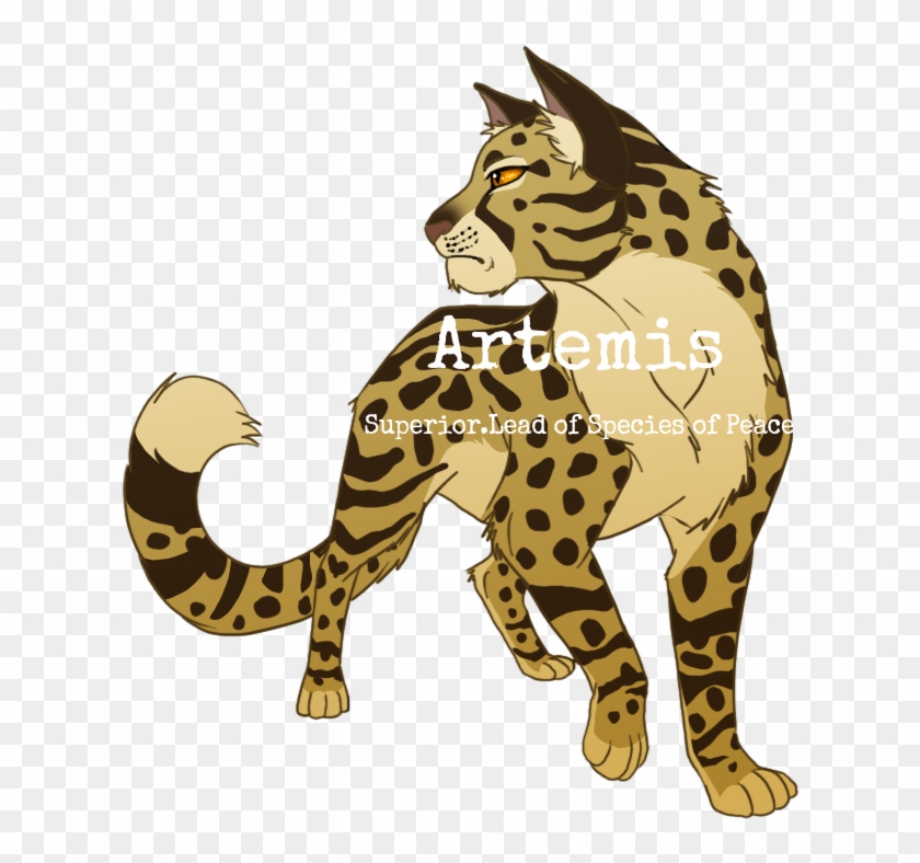 Artemis Signature - Leopardstar #1091178