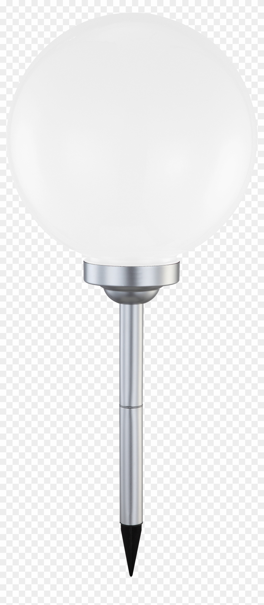 Extra Large - Fluorescence #1091663