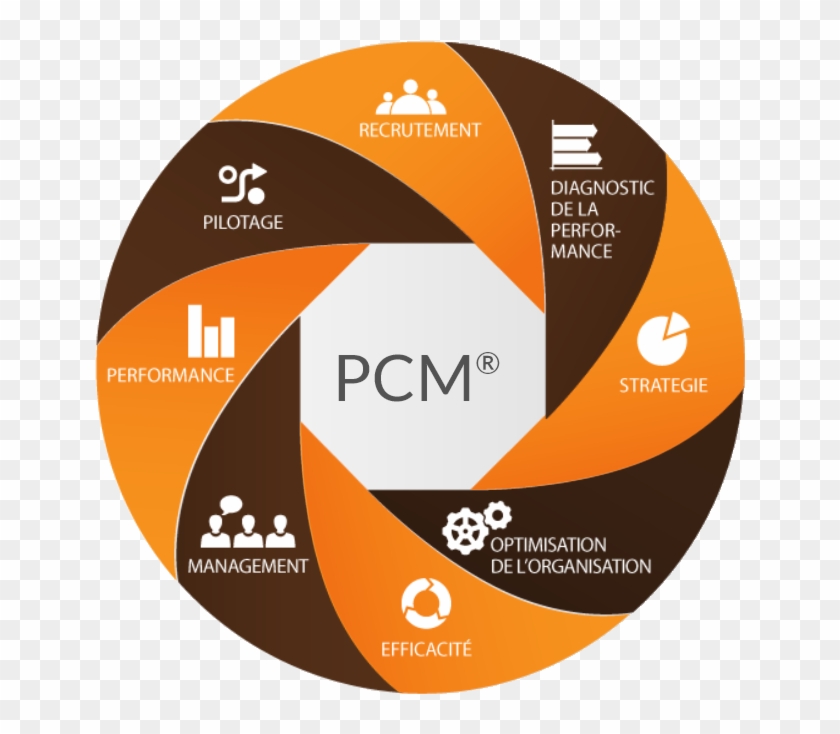 Process Communication Model ® - Cd #1091679