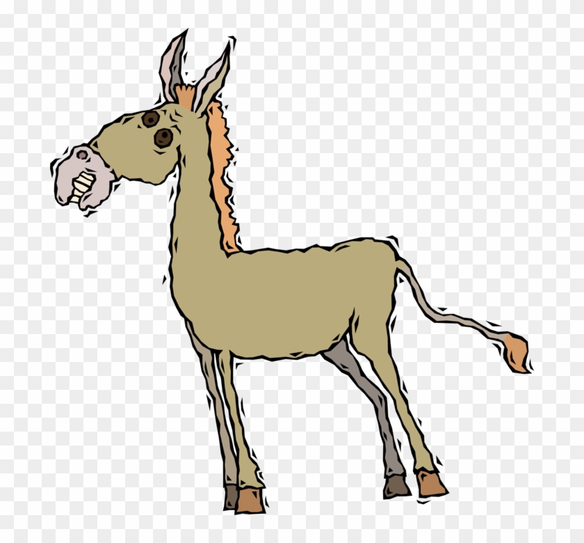 Vector Illustration Of Jackass Male Donkey Ass Domesticated - Horse #1092290