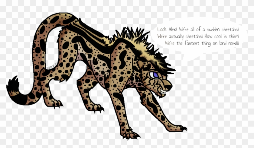 Cheetah Boy By Averycf - Clouded Leopard #1092440