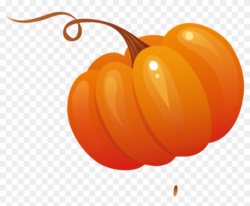 Vegetable Pumpkin Salad - Vector Space #1092921