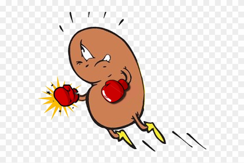 Bean Clipart Kidney Transplant - Kidney Images Cartoons #1092961
