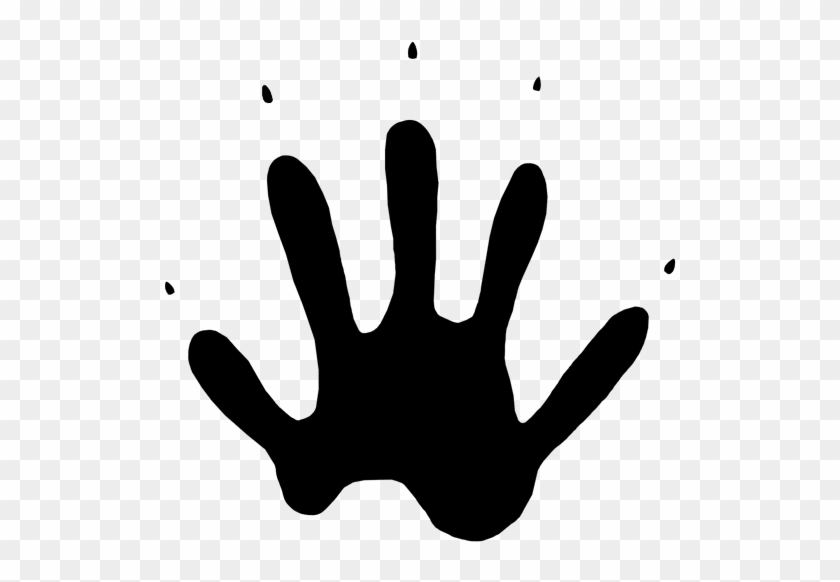 Raccoon Tracks Naturetracking - Raccoon Tracks Png #1092999