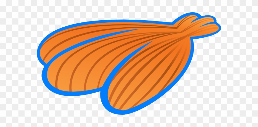 Search Results Blue Seashell Clipart Wedding Photo - Clip Art #1093016