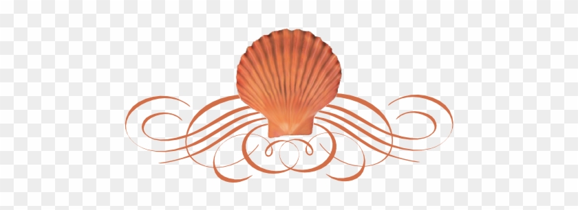 Seashell Flourish - Seashell Divider Png #1093041