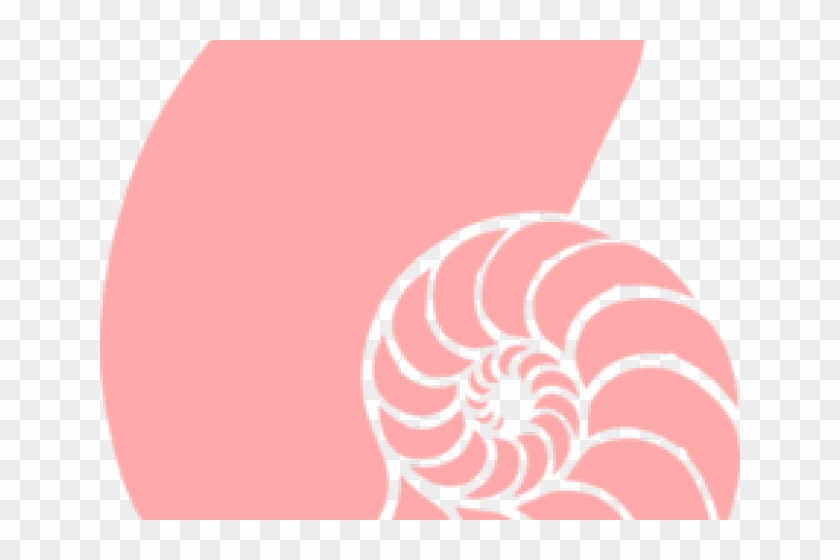 Shells Clipart - Seashell Clipart #1093138
